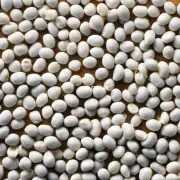 炒白扁豆对身体有益吗？
