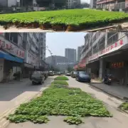 亳州市中药材交易市场周边环境怎么样？如道路状况绿化覆盖率等方面的情况如何？