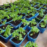 我是否能自己培育出健康的小植株来销售给其他园艺爱好者或专业农民？