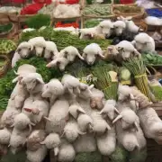 在广州市区附近有什么途径能够买到真正的牧羊草药材么？比如在哪些市场或商店出售它？