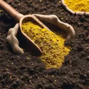 我们可以使用一些有机肥料来提高土壤质量和促进土大黄生长的速度吧但是你知道哪些类型的有机肥料比较适合用于土大黄栽培吗？