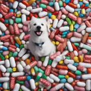 白狗肠中药与其他药物是否相互影响或者存在禁忌症？