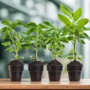 有哪些需要注意的事项与技巧来确保植物健康成长吗？