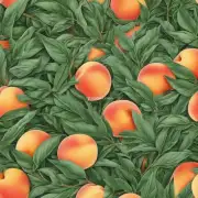什么是桃子叶？