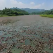 在中国南方地区有哪些地方是水蛭的主要产地？