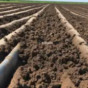 除了施肥之外还有其他方式帮助保持土壤中的养分含量高水平吗？例如添加有机物质等做法是否可行呢？