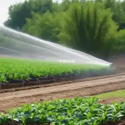 对于不同的季节气候条件应该如何调整灌溉频率和方法以确保健康生长？