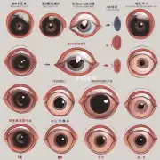 什么是三焦在中医学中的作用以及如何利用它来预防和减轻黑眼圈呢？