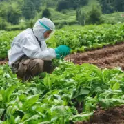 什么是有机农业实践在种植药材方面的优势及其对生产成本的影响？