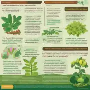 对于那些想使用这个植物来治疗某种疾病的人来说应该遵循哪些建议以及注意事项？