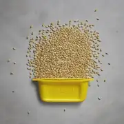 黄芪籽多少钱一斤？