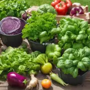如果想在家里种植夏季蔬菜或水果有哪些技巧可以帮助你成功地培育它们吗？