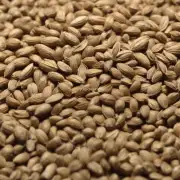 吃中药麦芽是否安全和可靠？