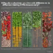 为什么在不同季节要选择不同的时间进行种植呢？