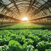 什么样的气候条件最适合夏季农业生产？