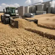 黄豆期货市场上的交易量是否与现货市场需求相匹配？如果不匹配原因是什么？
