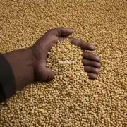 根据市场行情和生产情况预计豆二期货一手有多少吨？
