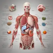 在中医理论中脾胃是人体最重要的器官之一那么为什么称之为上品呢？