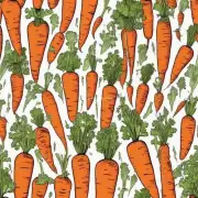 有些研究表明摄入过量的胡萝卜素可能会对人体产生负面影响这些研究结果如何解释和评估？