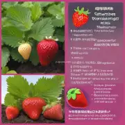 这些地区的气候条件适合种植哪些品种的草莓？