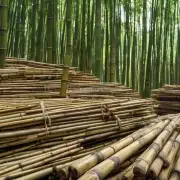 湖南省内有哪些地方有收购玉竹的企业？