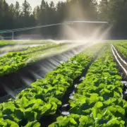哪种类型的灌溉系统对于夏季耕作最为有效？