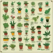 你知道哪些植物可以作为药材？