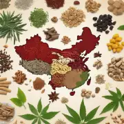 中国有哪些地区是著名的中草药材产地呢？