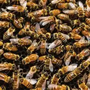 有没有一些方法可以帮助我们更好地保护我们的环境并减少对蜜蜂群体的影响？