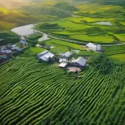 白术亩产多少 这一概念是否只存在于中国农业生产中呢？