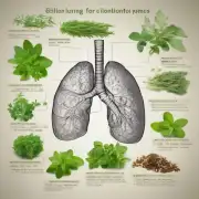 矽肺使用什么中草药比较好？