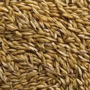 川芎和荞麦有哪些共同点？