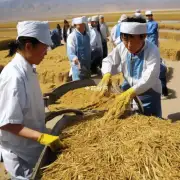 甘肃省内的一些特色名贵中药材如何种植采摘及加工制作工艺等情况如何？