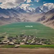 现在新疆维吾尔自治区阿克苏地区乌药的价格是多少？