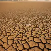 什么是沙漠化为什么沙漠里会发生这种自然灾害呢?
