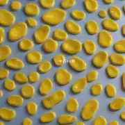 黄精泡水有哪些独特的味道特征?