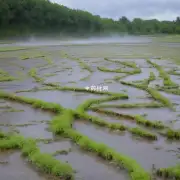 有哪些常见的错误方法或误区在进行去湿时要注意?