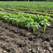 苗地上使用草甘膦和苯甲酸钠的混合物进行除草效果如何?