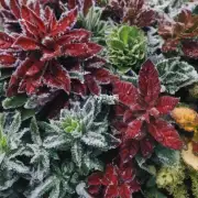 哪些植物属于寒性药 哪些属于温性药呢?