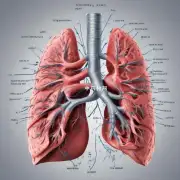 众所周知肺寒不好咳嗽的调理方法有很多在你看来哪些方法是比较重要的?为什么?