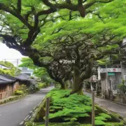 川芎的味道是不是很浓郁?