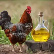 田鸡油的特点是什么?