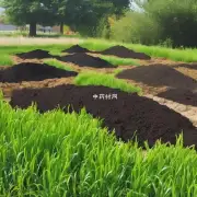 夏枯草种植的最佳土壤类型是什么?