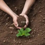 白术种植的深度如何影响其土壤健康?