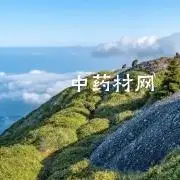 中药山菅兰的储存方式如何?