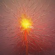 热毒如何影响神经系统?