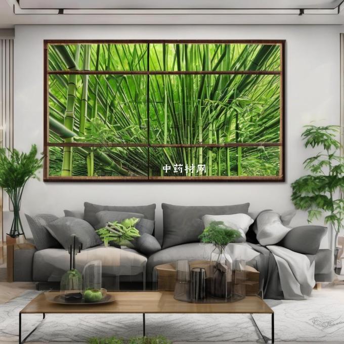 淡竹叶是否适合作为室内装饰品使用？为什么？