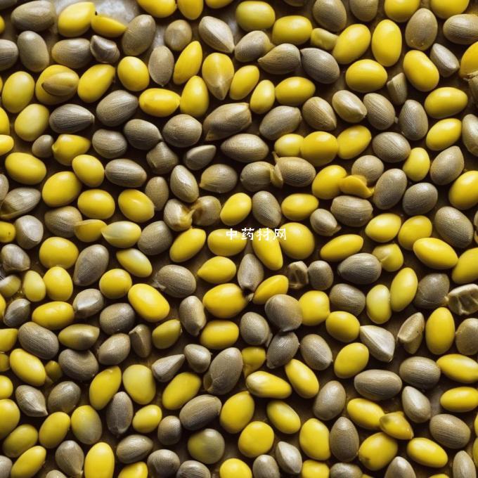 服用黄芪籽对肝脏有什么影响？