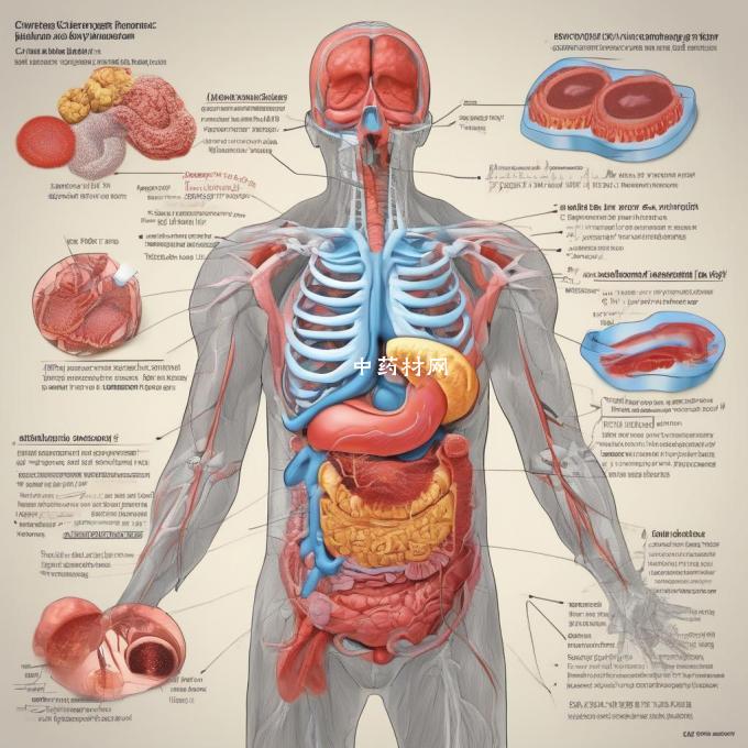 什么是慢性胃炎？
