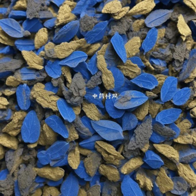 如何购买到正宗的中国产绞股蓝叶子粉末产品？